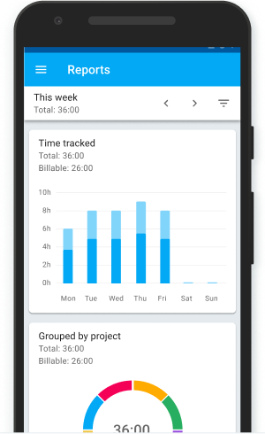 Tracked time shown in reports